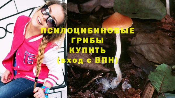 твердый Абаза