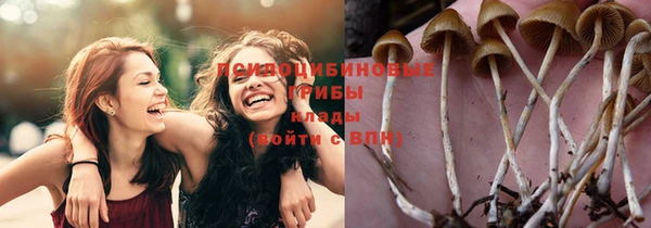 прущие крисы Абдулино