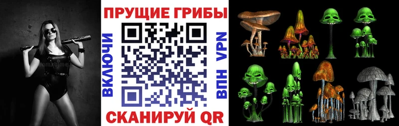 Псилоцибиновые грибы MAGIC MUSHROOMS  где можно купить   OMG ссылка  Саранск 