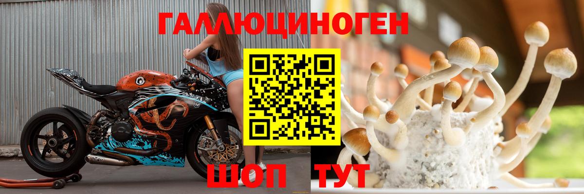 Псилоцибиновые грибы Cubensis  Вход с VPN  Саранск  Галлюциногенные грибы MAGIC MUSHROOMS 