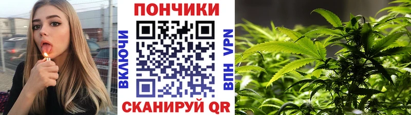 Бошки Шишки гибрид  купить  сайты  Саранск 