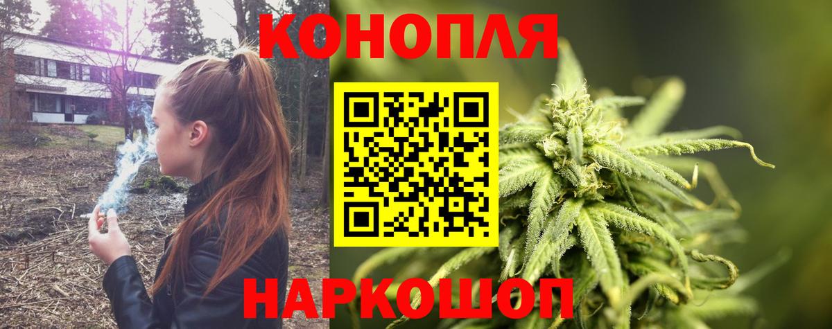Марихуана планчик  Шишки марихуана SATIVA & INDICA  Саранск  Вход с VPN  Шишки марихуана OG Kush 